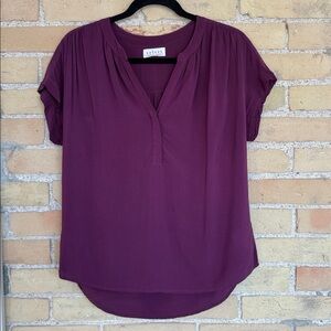 Velvet Burgundy Blouse